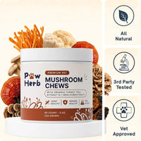 Fight Your Dog's Mental Decline with PawHerb™ 8 in 1 Mushroom Chews