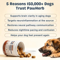 Fight Your Dog's Mental Decline with PawHerb™ 8 in 1 Mushroom Chews