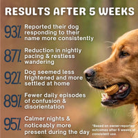 Fight Your Dog's Mental Decline with PawHerb™ 8 in 1 Mushroom Chews