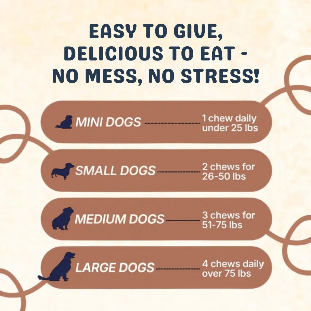 Fight Your Dog's Mental Decline with PawHerb™ 8 in 1 Mushroom Chews