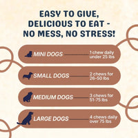 Fight Your Dog's Mental Decline with PawHerb™ 8 in 1 Mushroom Chews
