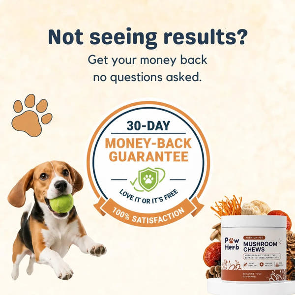 Fight Your Dog's Mental Decline with PawHerb™ 8 in 1 Mushroom Chews